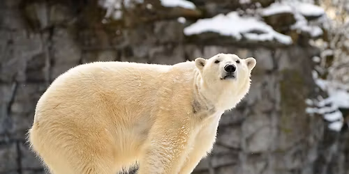 Winterferienprogramm