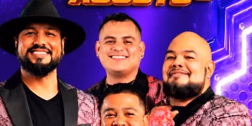 BERTIN Y SU CONDESA, LOS ARMADILLOS & MAS