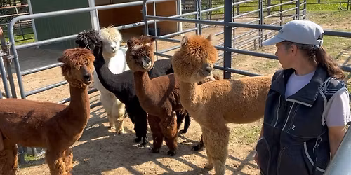 CAMELIDynamics Fast Track Clinic