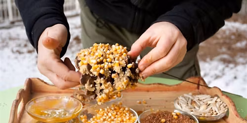Bird Feeder Making Workshop with the Park Ranger