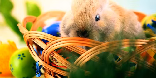 Afternoon Tea w\/ The Easter Bunny