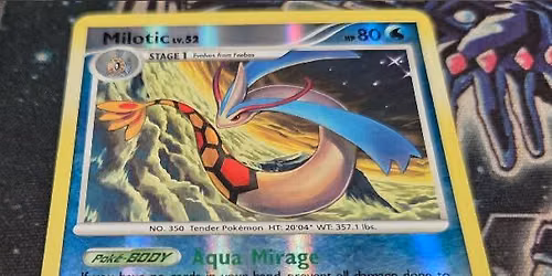 Pokemon Gym Leader Challenge Tournament