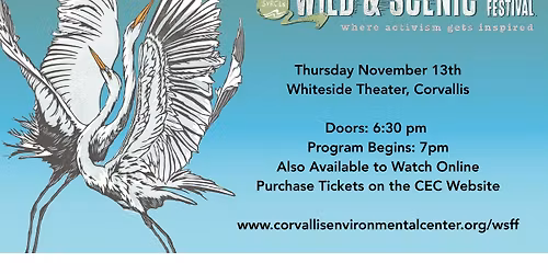 Wild and Scenic Film Festival