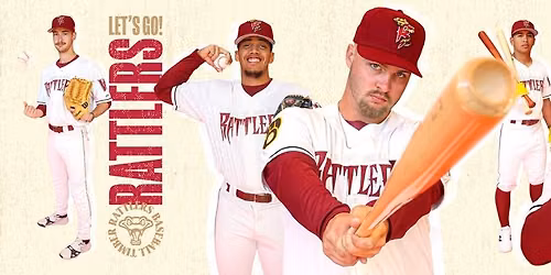 NEW NARI Family Night at the Ballpark!