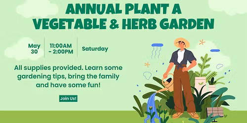 Plant a Vegetable and Herb garden