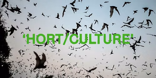 HORT\/CULTURE: Iroro Tanshi