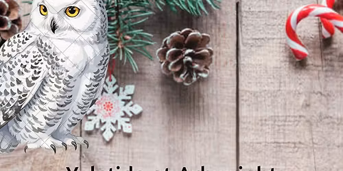 Yuletide at Arkwright