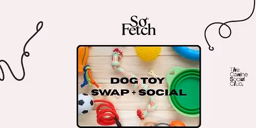 DOG TOY SWAP + SOCIAL