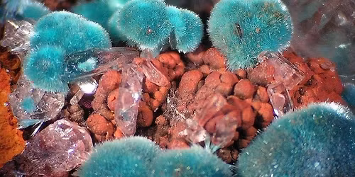 Mineral Micromounting an Introduction