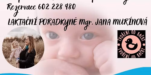 Podp\u016frn\u00e1 skupina Fr\u00fddek-M\u00edstek 11.11.2025