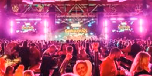 BINGO LINGO CHRISTMAS!