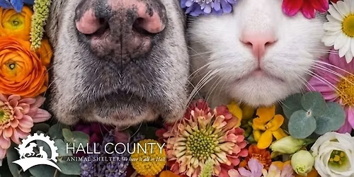 Adopt A May Flower