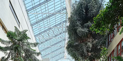 Foire commercial 2026 Maisonneuve . Invitation officielle