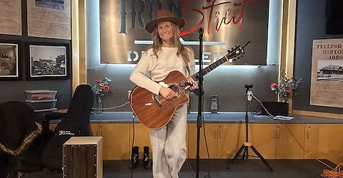 Live Accoustic Music by Al Walz Music