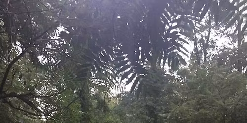 May: Monthly Potluck & Discussion