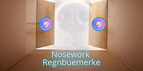 Regnbuemerke med Everydaydog