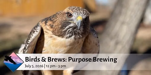 Birds & Brews at Purpose Brewing