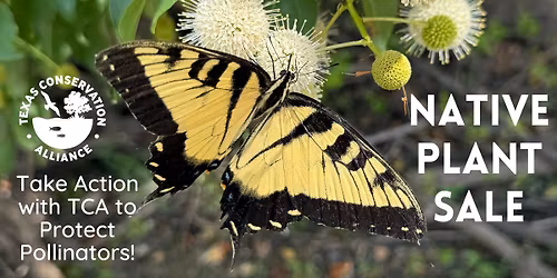 Spring Native Plant Sale at WBU Arlington