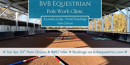 Pole Work Clinic