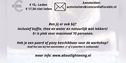 Workshop "Een andere blik op je paard"