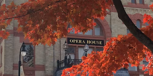 2nd Annual Poinsettia Fundraiser