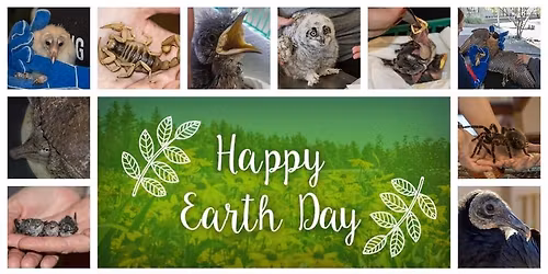 Wish Tree Earth Day Event