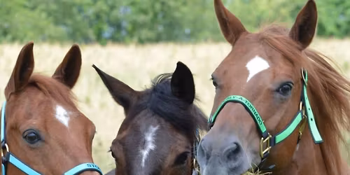 Spaghetti Dinner Fundraiser 