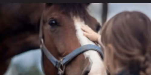 Community Volunteer Day at Equine Harmony