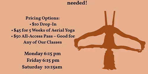 \ud83e\uddd8\u200d\u2640\ufe0f\u2728 Monday Aerial Yoga With Shannon