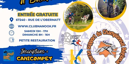 Course de Bischwiller