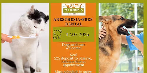 Anesthesia Free Dental Clinic