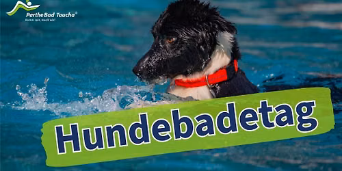 2. Hundebadetag im PartheBad