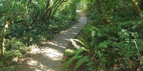 AUTUMN TRAILS EUGENE 16-Mile\/10-Mile\/6-Mile\/3.5-Mile