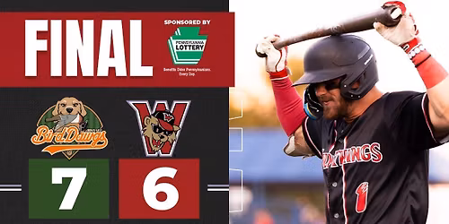 Down East Bird Dawgs at Washington Wild Things at EQT Park