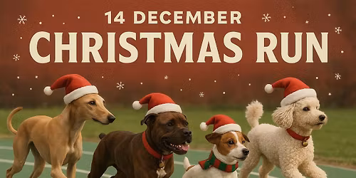 WRA Christmas Run \ud83c\udf84