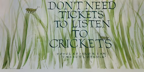 The Basics of Brush Lettering