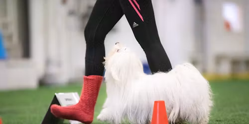 Rally-tokokisat 18.4.2026