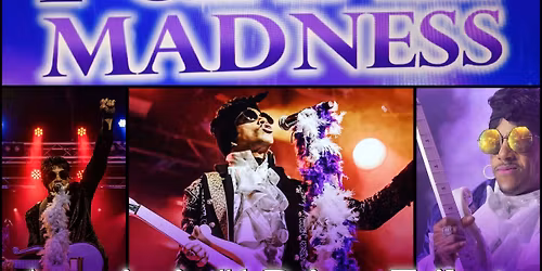 The Purple Madness - America\u2019s #1 Prince Tribute Experience at Vinyl Music Hall