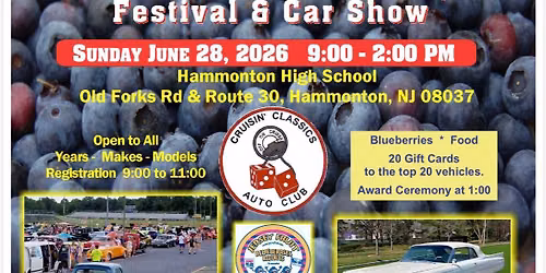 40th Annual RWB car show 