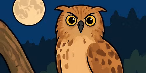 Preschool: Animals of the Night