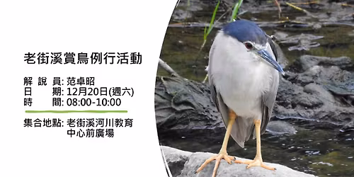 \u8001\u8857\u6eaa\u8cde\u9ce5\u4f8b\u884c\u6d3b\u52d5