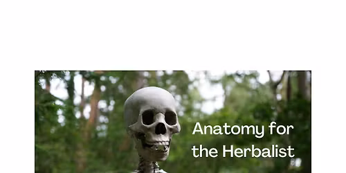 Anatomy for the Herbalist Monthly Lecture Series