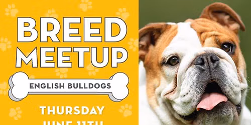 Breed Meetup: English Bulldogs