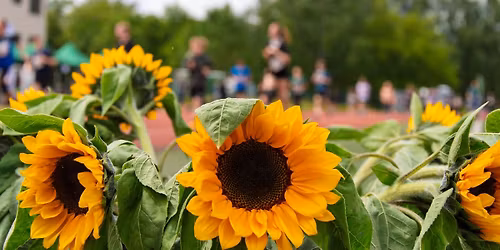 13. Laufend gegen Krebs - Jubil\u00e4umsausgabe