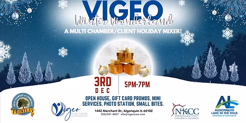 Vigeo Winter Wonderland- A Multi Chamber Mixer