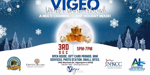Vigeo Winter Wonderland- A Multi Chamber Mixer