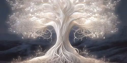 Shaman Healing Circle:The Way of the Seer