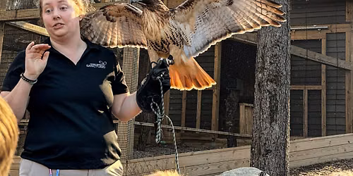 Dinosaur Descendants with Ohio Bird Sanctuary