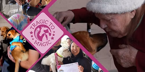 San Diego Adoption Event