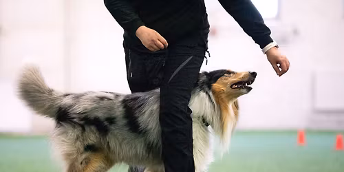 Rally-tokokisat 28.3.2026